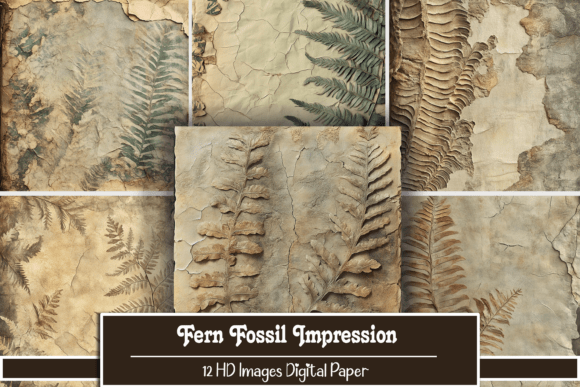 Download Fern Fossil Impression - Impression Collection